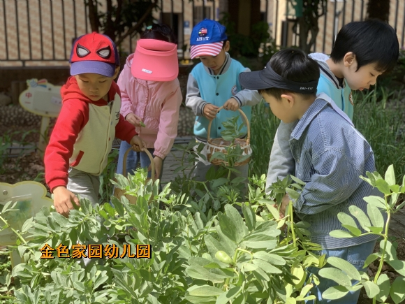 附件：29ee243b017afde0755302889f5bb55.jpg