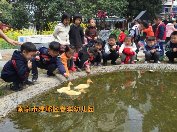 附件：IMG_6118.JPG