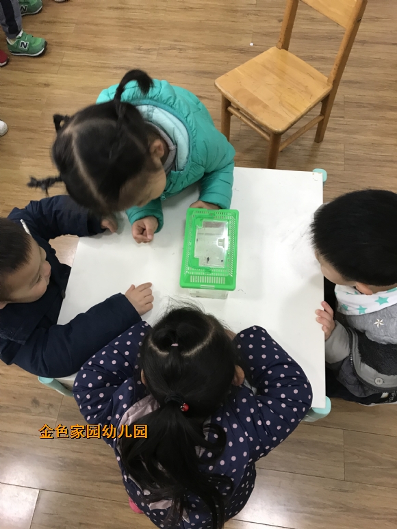 附件：IMG_6431.JPG