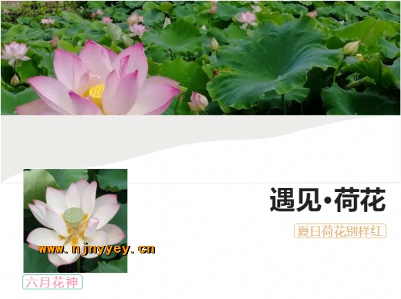 附件：1.png