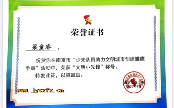 附件：市级雏鹰争章4.jpg