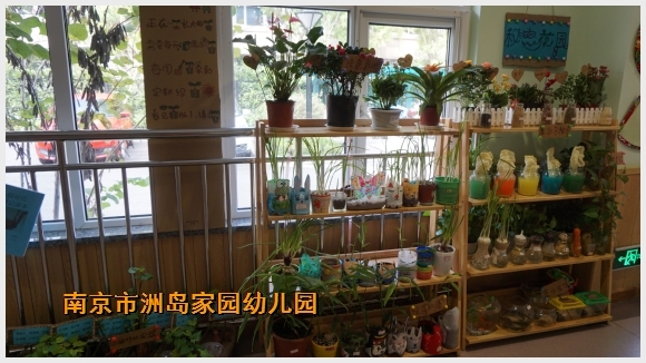 建邺教育信息网