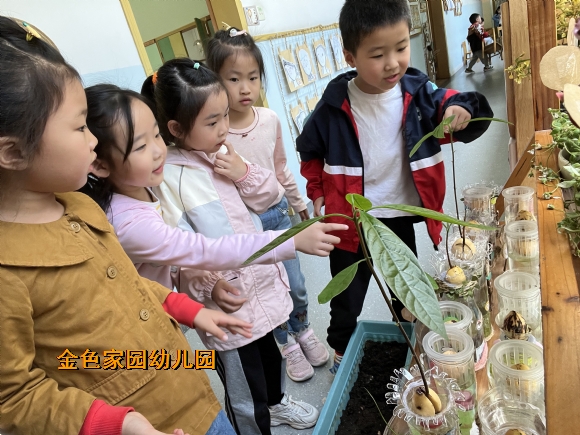 附件：IMG_7914(20220506-163712).JPG