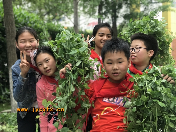 附件：QQ图片20180428161348.jpg