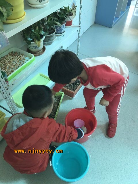 附件：QQ图片20181030125622.jpg