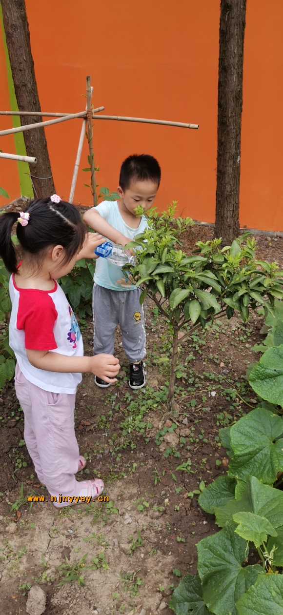 附件：IMG_20210602_151616.jpg.jpg