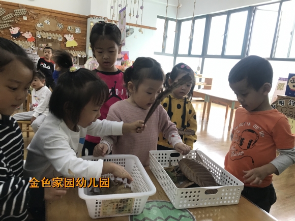 附件：IMG_1892.JPG