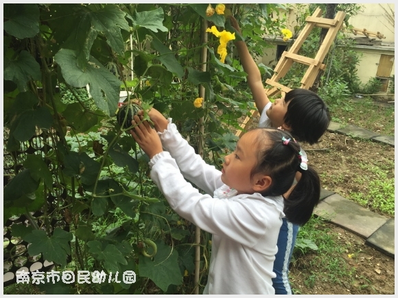 建邺教育信息网