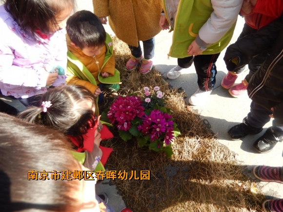 附件：conew_dscn6691.jpg