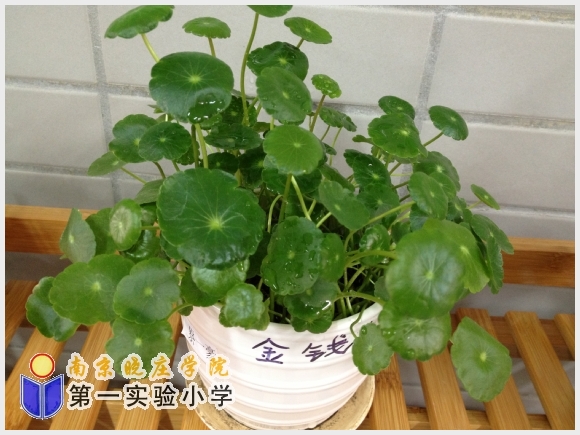 建邺教育信息网