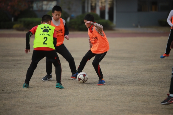 附件:IMG_7023.JPG 附件:IMG_7023.JPG