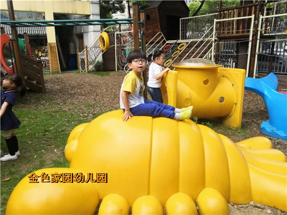 附件：IMG_20190621_152116.jpg