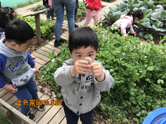 附件:IMG_6949.JPG 附件:IMG_6949.JPG