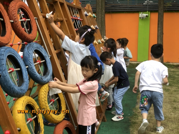 附件：IMG_4385.JPG