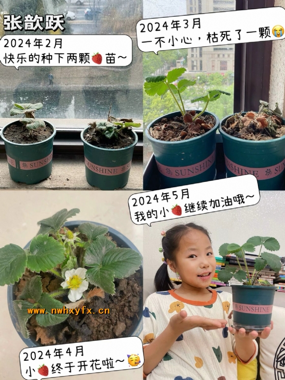 附件：9a8a9c9f6d2b55d8b8cf187e215f29f8.png
