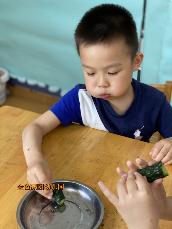 附件：IMG_8979.JPG
