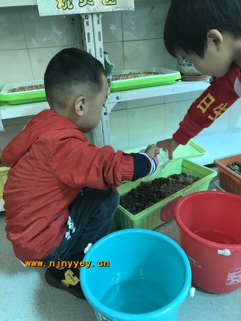 附件：QQ图片20181030125615.jpg