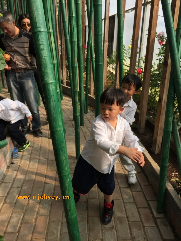 附件：conew_9b890539-5ac4-46c9-8a87-5ebc265dae4c.jpg