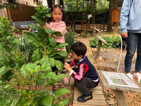 附件：IMG_8262(20210422-134207).JPG