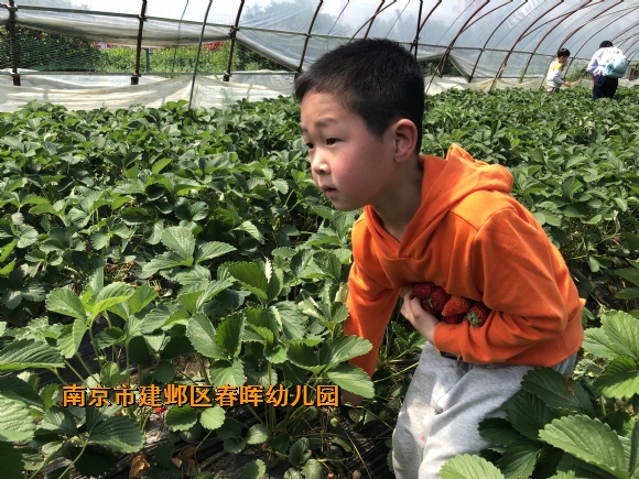 附件：IMG_4146.JPG