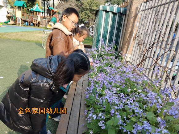 附件：d9aa081ef2b6c41cafc57f0321013f9.jpg