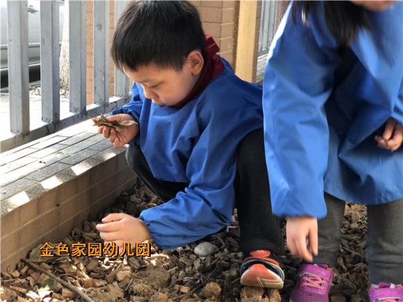 附件：IMG_0892.jpg