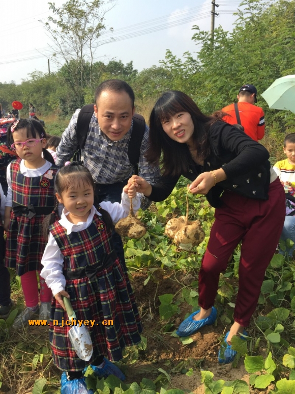 附件：conew_13e9dd51-3724-46a3-9aed-0afa70ca2c37.jpg