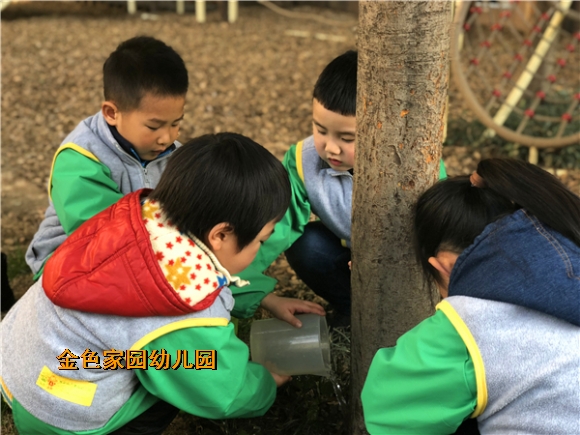 附件：858119081583055737.jpg