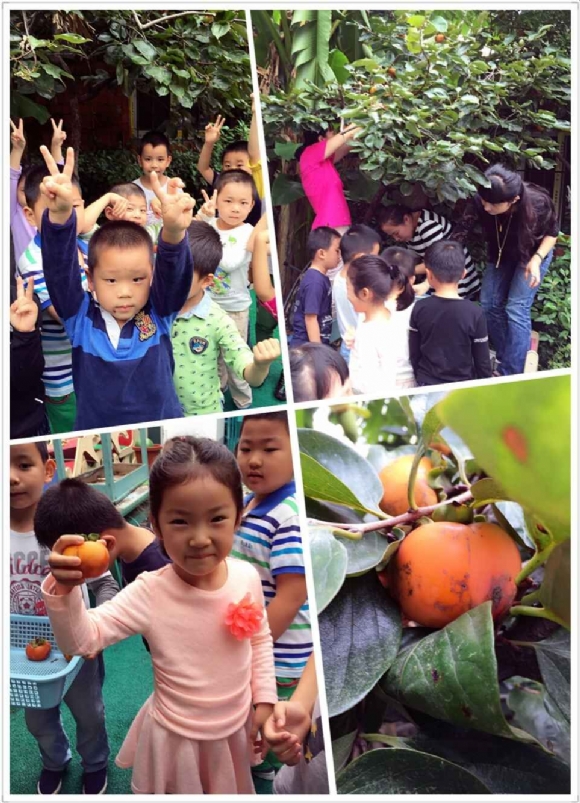 附件:QQ鍥剧墖20150930164946.jpg 附件:QQ鍥剧墖20150930164946.jpg
