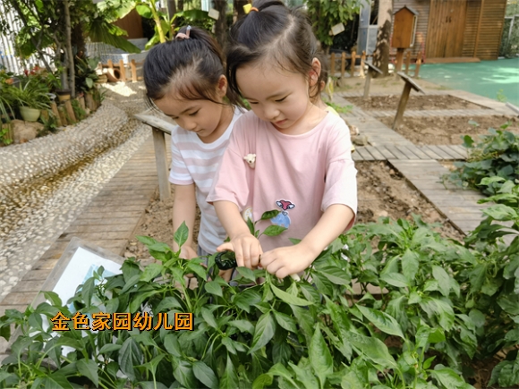 附件：mmexport1632637027900.jpg