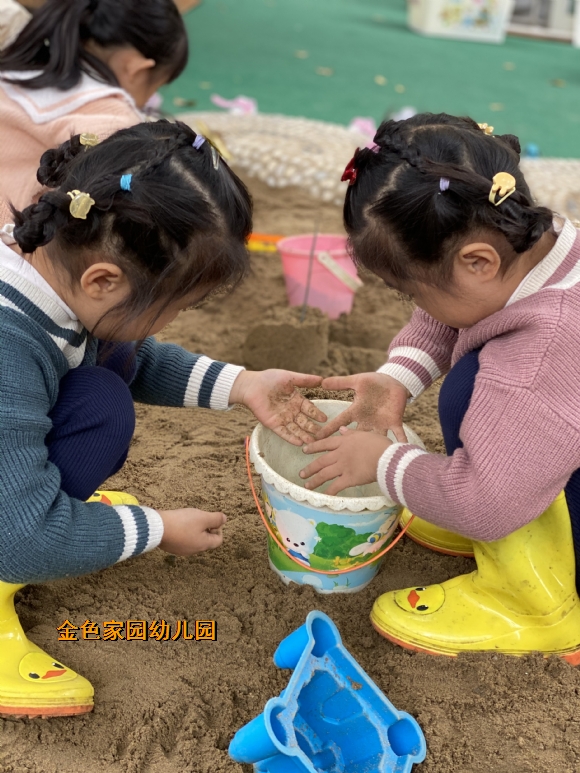 附件：IMG_4768.JPG