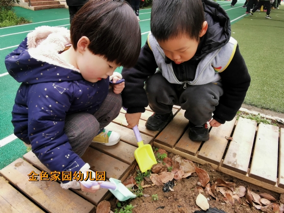 附件：IMG_20210312_095525.jpg