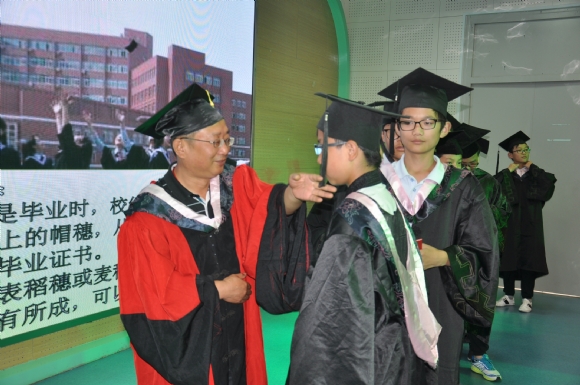 附件：DSC_0812.JPG