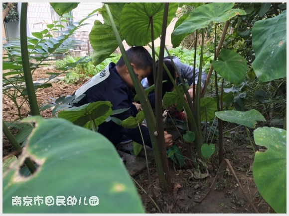 建邺教育信息网