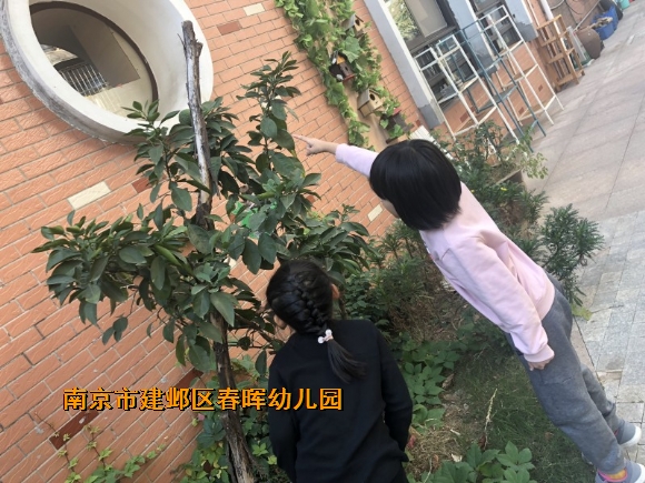 附件：conew_img_3017.jpg