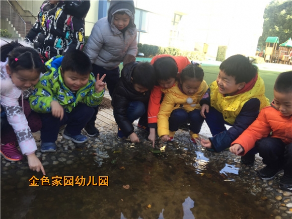 附件：IMG_0999.jpg