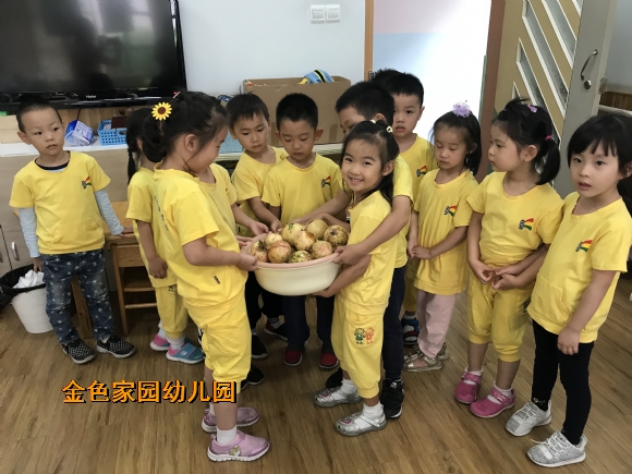 附件：IMG_1703.JPG