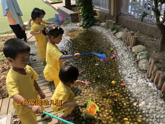 附件：IMG_8641.JPG
