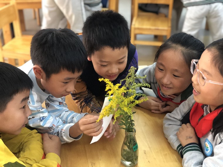 1573561627466045744.jpg QQ图片20191112201804.jpg