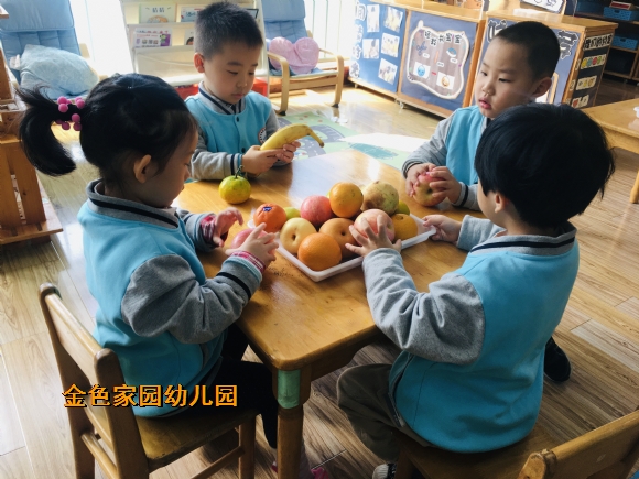 附件：IMG_E2924.JPG