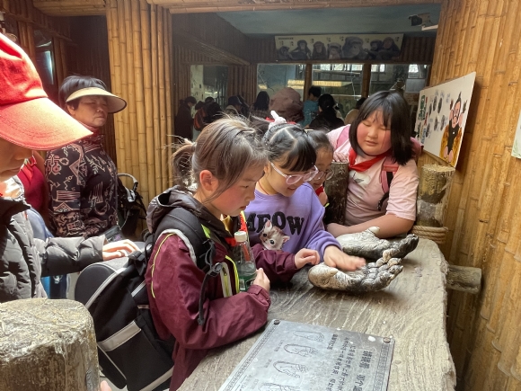 附件：IMG_3417.JPG