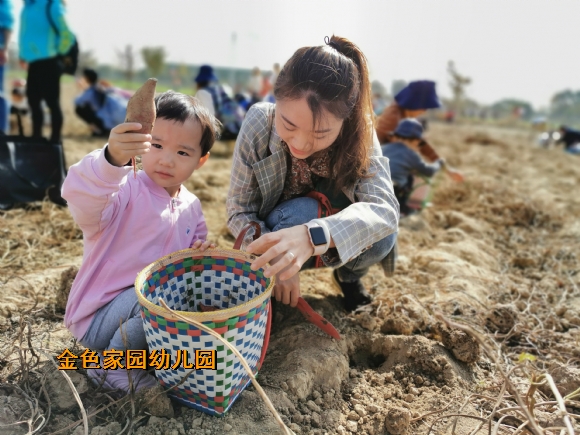 附件：IMG_20191031_101610.jpg