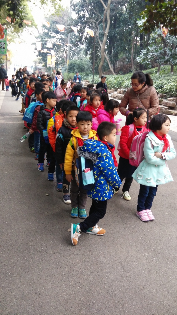 附件：春游2.jpg