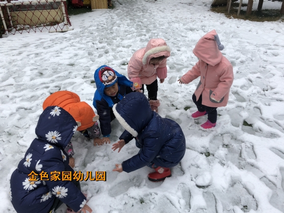 附件：IMG_1757.JPG