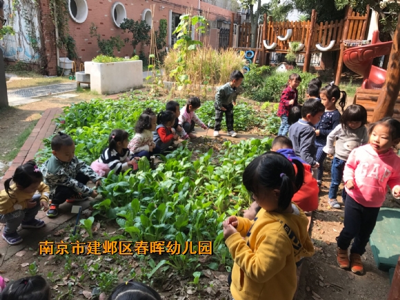 附件：博客照片IMG_4483.JPG