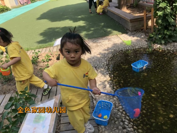 附件：IMG_8643.JPG