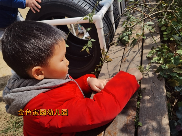 附件：IMG_20220302_114517.jpg