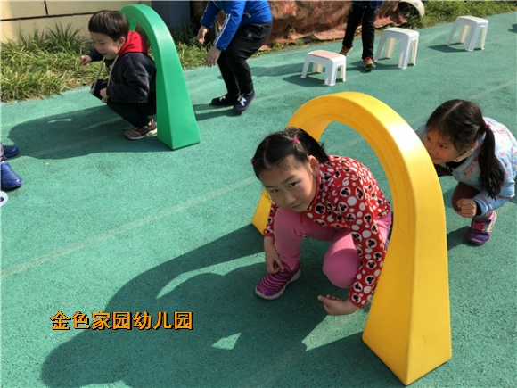 附件：IMG_1250.jpg