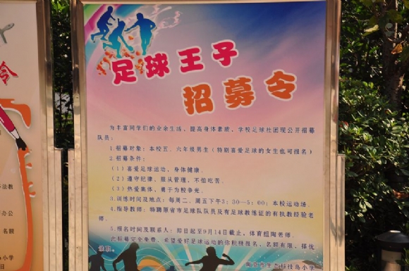附件：DSC_8663_鍓湰.jpg
