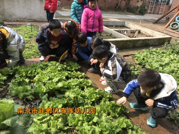 附件：mmexport1551253739113.jpg